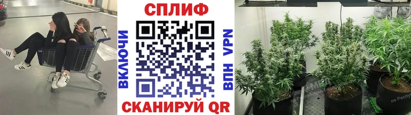 Как найти закладки Щучье АМФЕТАМИН А ПВП ГАШ БУТИРАТ COCAIN Мефедрон