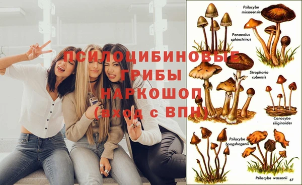 MDMA Premium VHQ Абинск