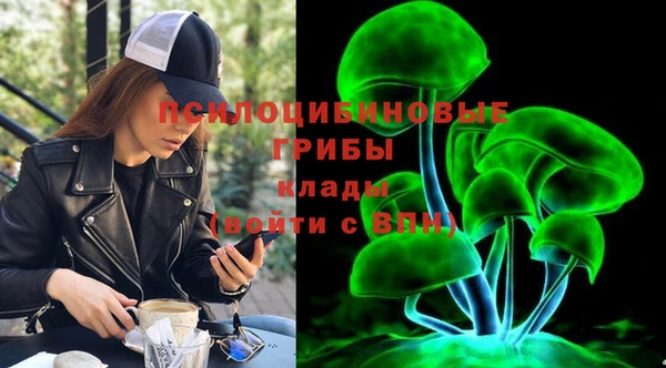 скорость Абаза