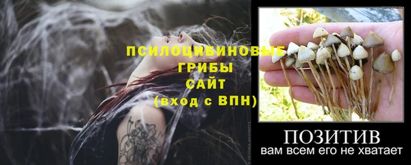 скорость Абаза
