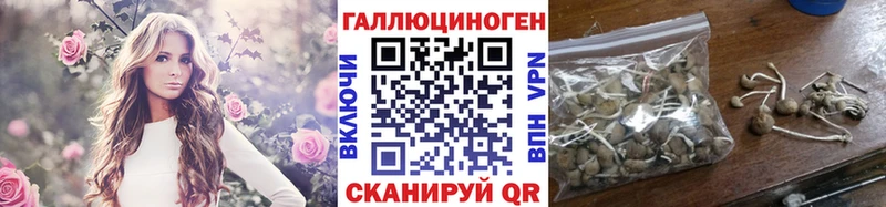 Галлюциногенные грибы Psilocybe  Щучье 